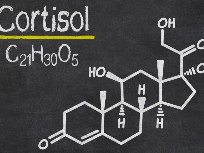 kortisool